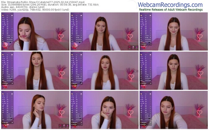 streamate-cuteariel77-02-04-2025-15-30-47