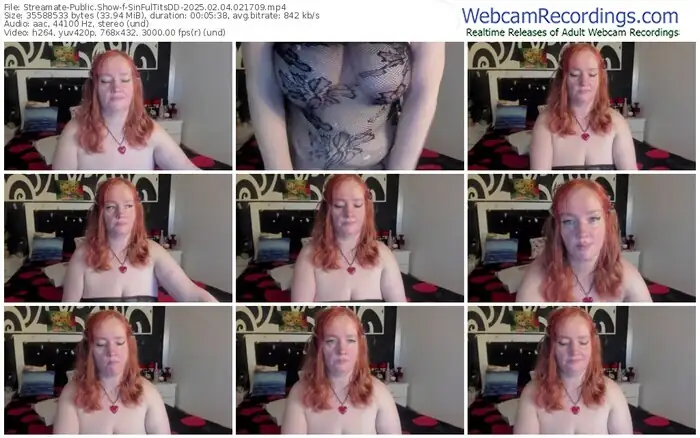 streamate-sinfultitsdd-02-04-2025-02-17-09