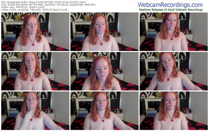 streamate-sinfultitsdd-02-04-2025-02-32-51