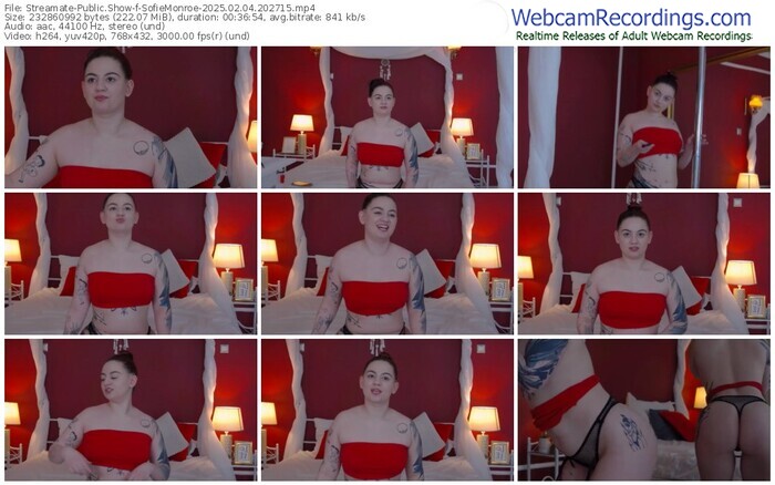 streamate-sofiemonroe-02-04-2025-20-27-15