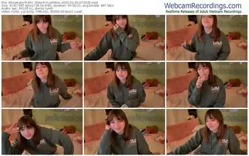 streamate-vixenminx-02-04-2025-07-39-28