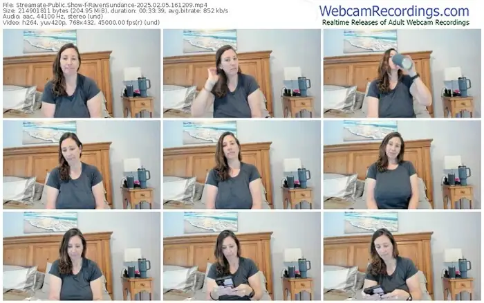 streamate-ravensundance-02-05-2025-16-12-09