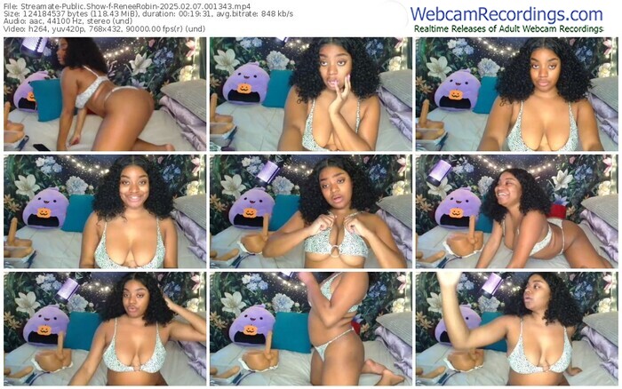 streamate-reneerobin-02-07-2025-00-13-43