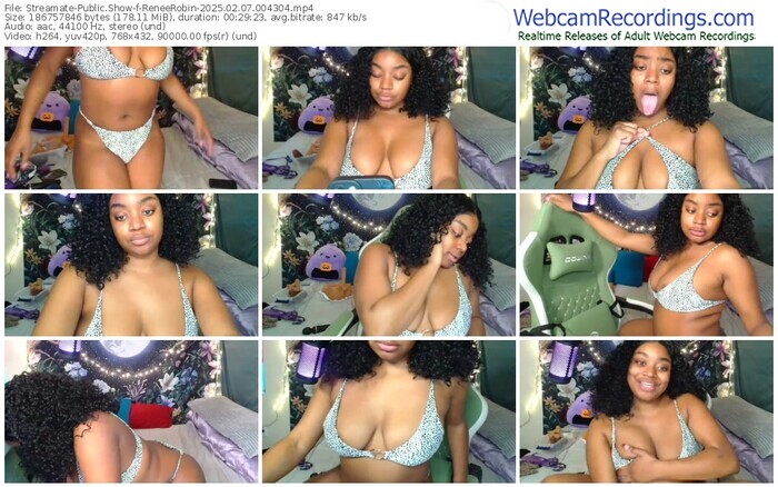 streamate-reneerobin-02-07-2025-00-43-04