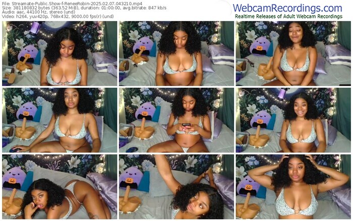 streamate-reneerobin-02-07-2025-04-32-10