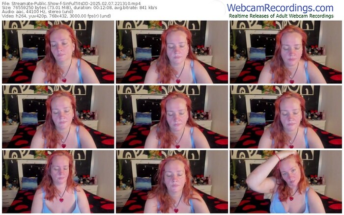 streamate-sinfultitsdd-02-07-2025-22-13-10