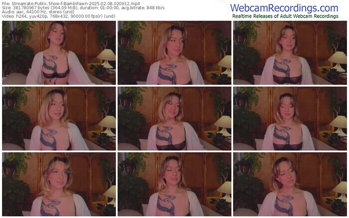streamate-bambifawn-02-08-2025-02-09-12