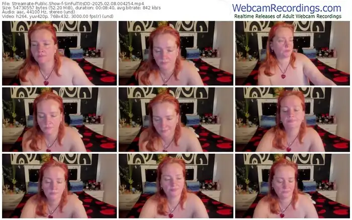 streamate-sinfultitsdd-02-08-2025-00-42-54