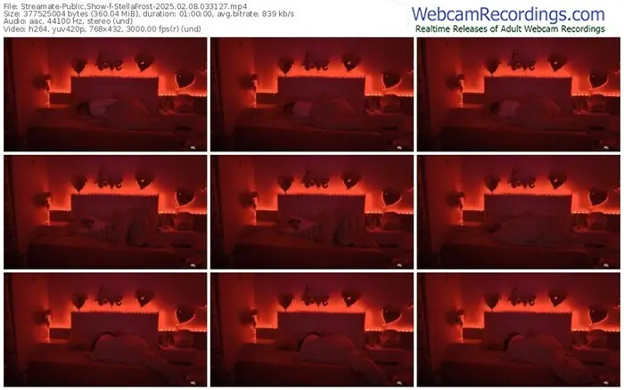 streamate-stellafrost-02-08-2025-03-31-27