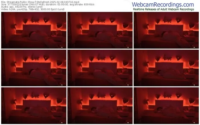streamate-stellafrost-02-08-2025-04-37-16