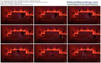 streamate-stellafrost-02-08-2025-06-03-16