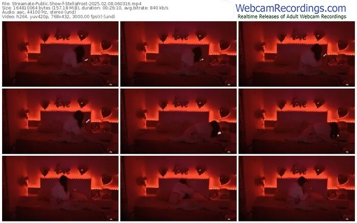 streamate-stellafrost-02-08-2025-06-03-16