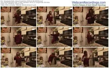 streamate-vixenminx-02-08-2025-05-00-45