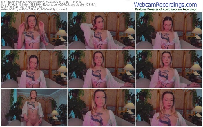 streamate-bambifawn-02-09-2025-09-13-36