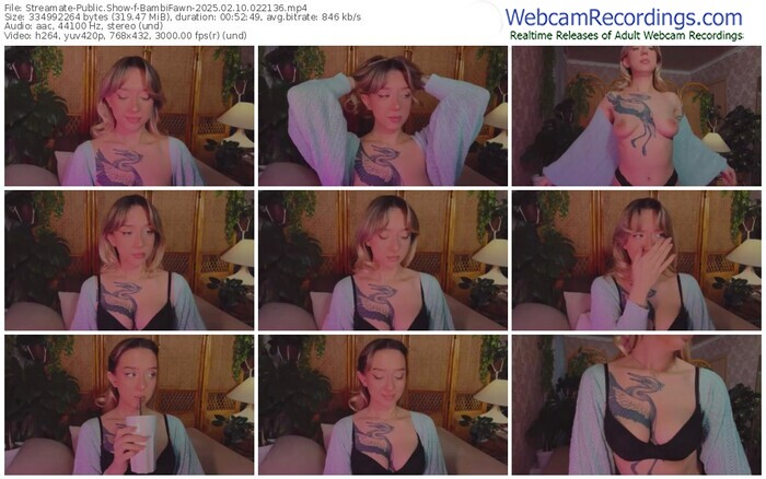 streamate-bambifawn-02-10-2025-02-21-36