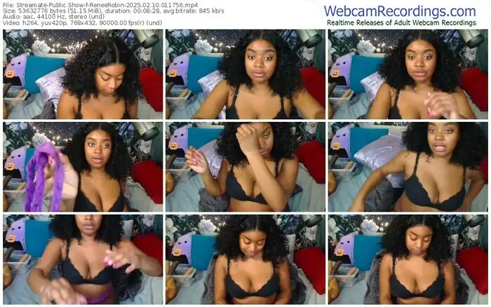 streamate-reneerobin-02-10-2025-01-17-56