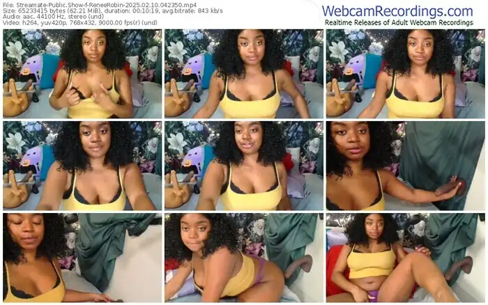 streamate-reneerobin-02-10-2025-04-23-50