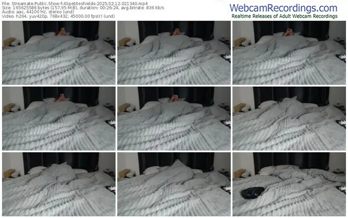 streamate-alipetiteshields-02-12-2025-02-13-40