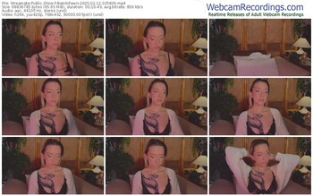 streamate-bambifawn-02-12-2025-02-58-00