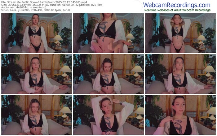 streamate-bambifawn-02-12-2025-04-53-05