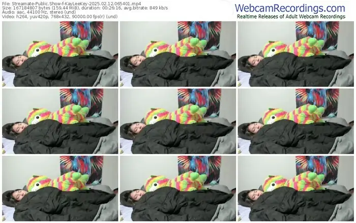 streamate-kayleekey-02-12-2025-06-54-01