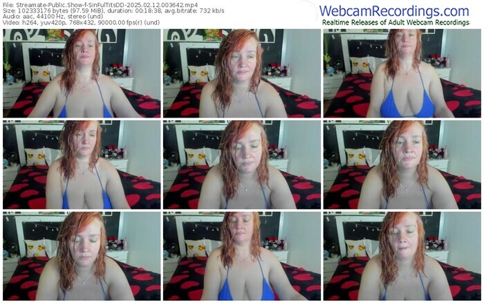 streamate-sinfultitsdd-02-12-2025-00-36-42