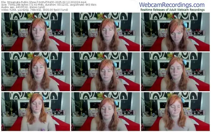 streamate-sinfultitsdd-02-12-2025-20-10-24