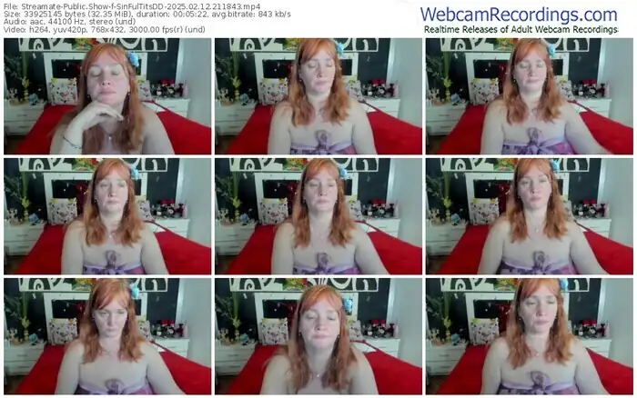 streamate-sinfultitsdd-02-12-2025-21-18-43