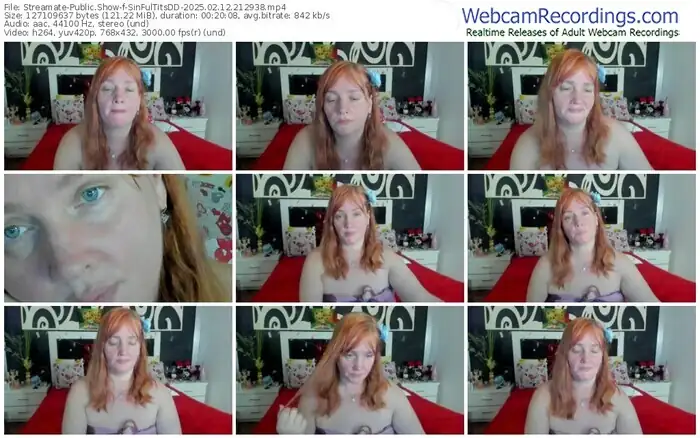 streamate-sinfultitsdd-02-12-2025-21-29-38