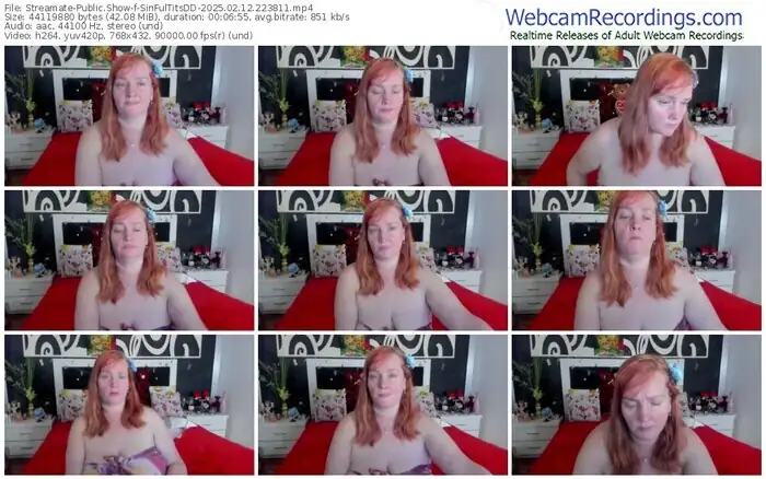 streamate-sinfultitsdd-02-12-2025-22-38-11