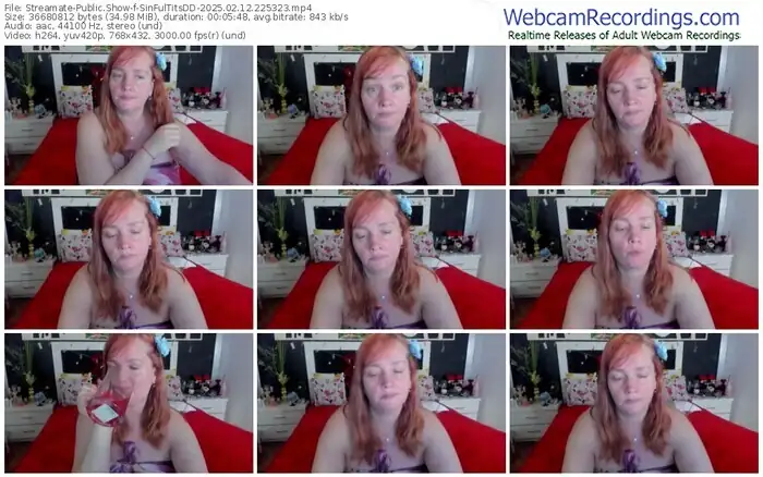 streamate-sinfultitsdd-02-12-2025-22-53-23