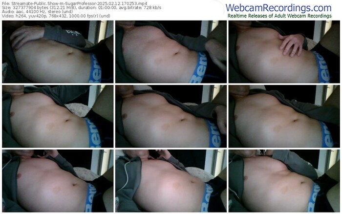 streamate-sugarprofessor-02-12-2025-17-02-53