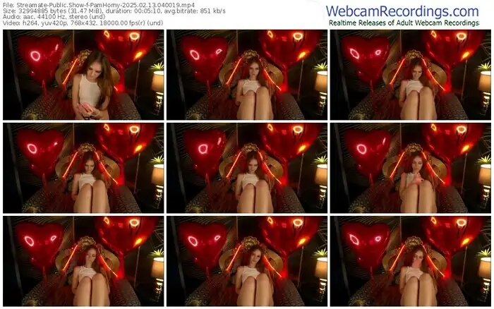 streamate-pamhorny-02-13-2025-04-00-19