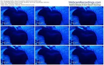 streamate-vixenminx-02-13-2025-17-44-50