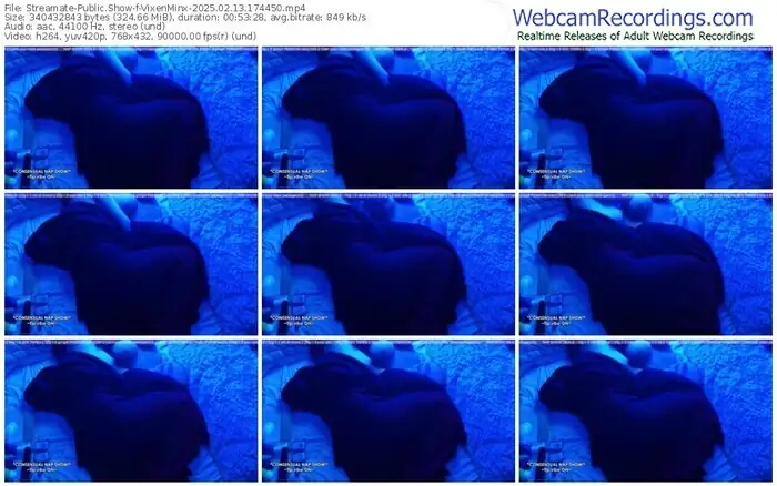 streamate-vixenminx-02-13-2025-17-44-50