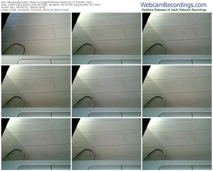 streamate-sugarprofessor-02-13-2025-19-44-51