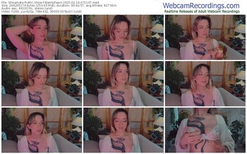 streamate-bambifawn-02-14-2025-07-11-07