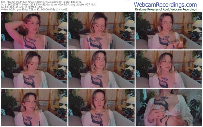 streamate-bambifawn-02-14-2025-07-11-07