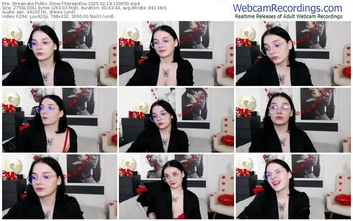 streamate-noreendia-02-14-2025-10-36-50