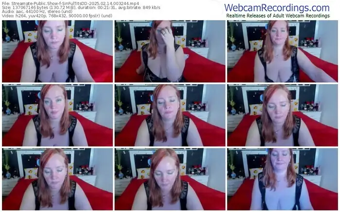 streamate-sinfultitsdd-02-14-2025-00-32-44