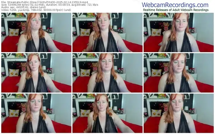 streamate-sinfultitsdd-02-14-2025-23-55-19