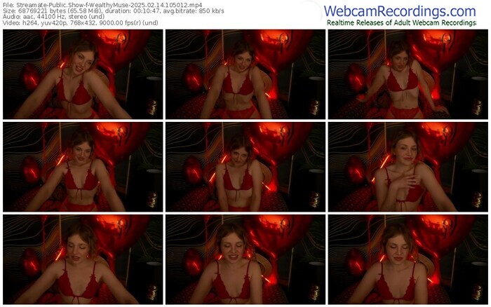 streamate-wealthymuse-02-14-2025-10-50-12