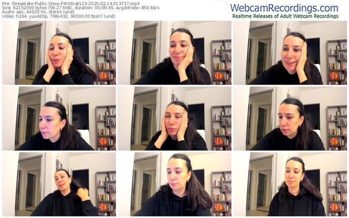 streamate-wildcat123-02-14-2025-01-37-37