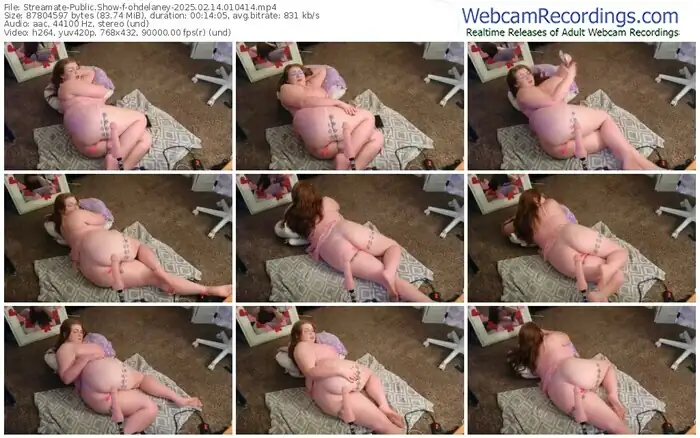 streamate-ohdelaney-02-14-2025-01-04-14