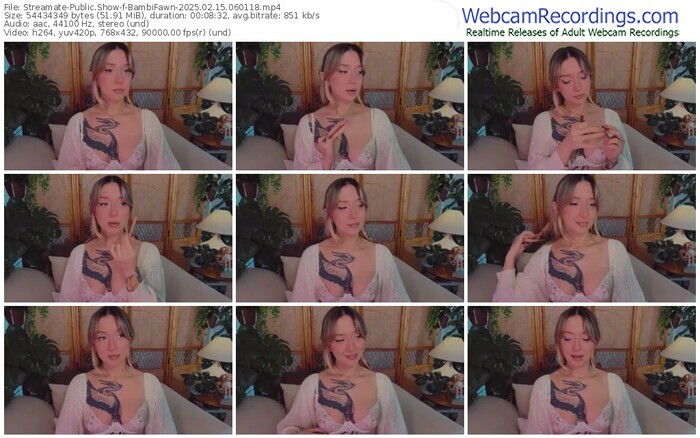 streamate-bambifawn-02-15-2025-06-01-18