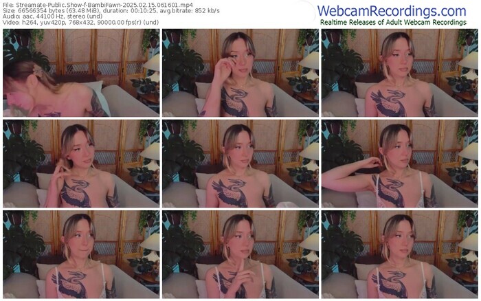 streamate-bambifawn-02-15-2025-06-16-01