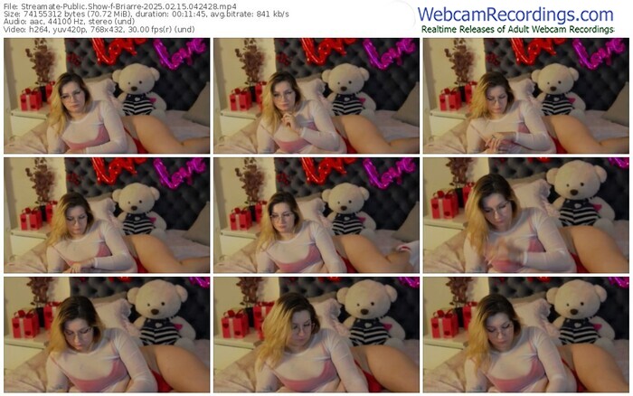 streamate-briarre-02-15-2025-04-24-28