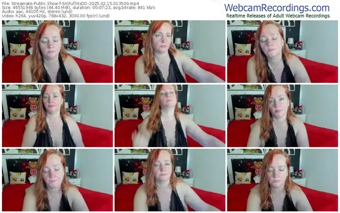 streamate-sinfultitsdd-02-15-2025-01-35-00