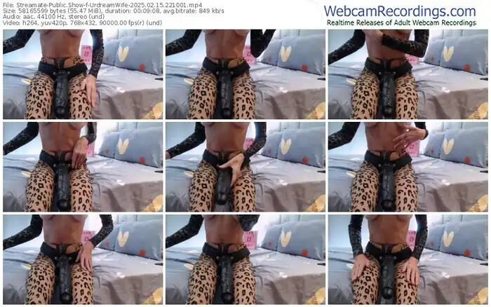 streamate-urdreamwife-02-15-2025-22-10-01