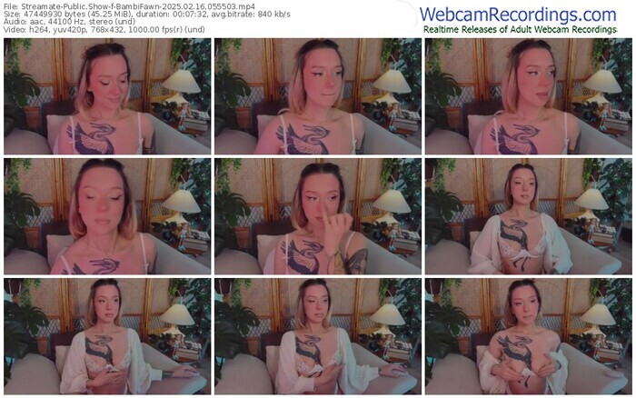 streamate-bambifawn-02-16-2025-05-55-03